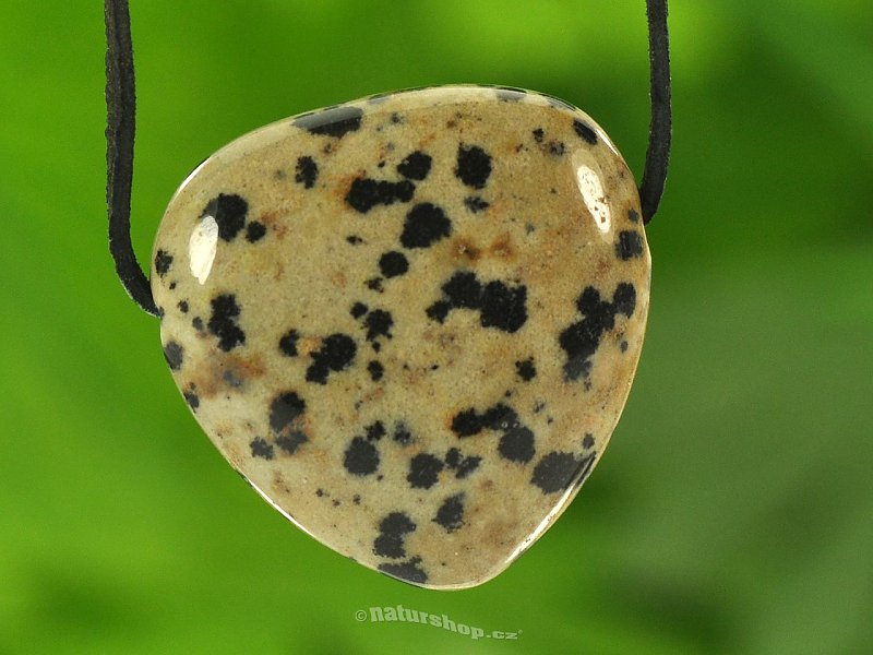 Dalmatian jasper pendant on a leather 8.6 g