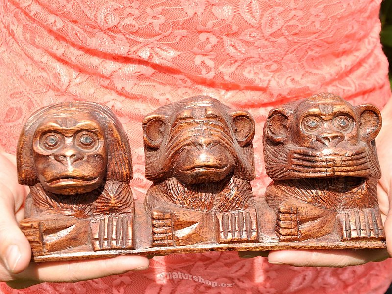 Monkeys three abreast (Indonesia)