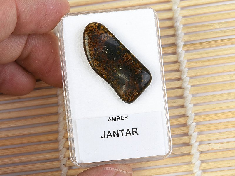 Selection amber from Lithuania 1.65g