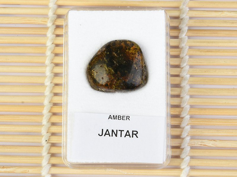 Selection Amber from Lithuania 1.53g