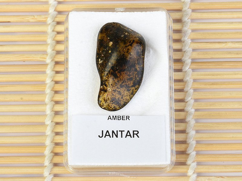 Selection Amber from Lithuania 1.87g