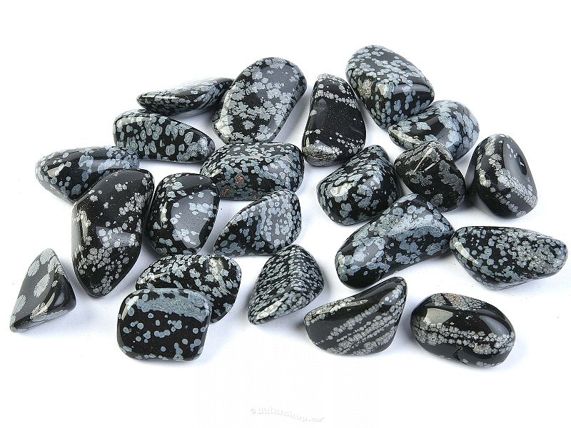 Obsidian flake - size L