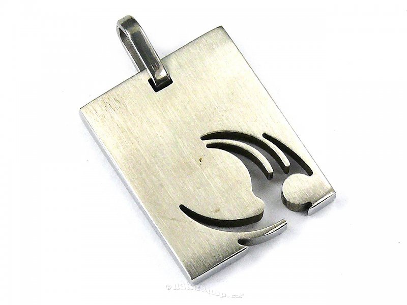 Surgical Steel Pendant typ014