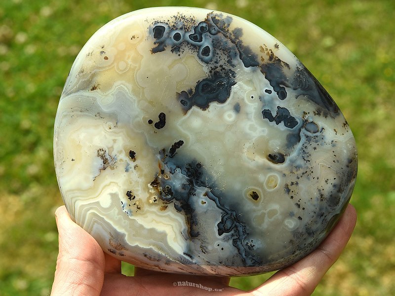 Agate with dendrites 587g