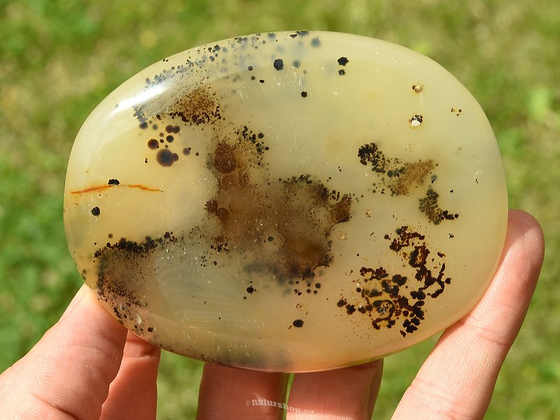 Agate with Dendrites (Madagascar) 190g