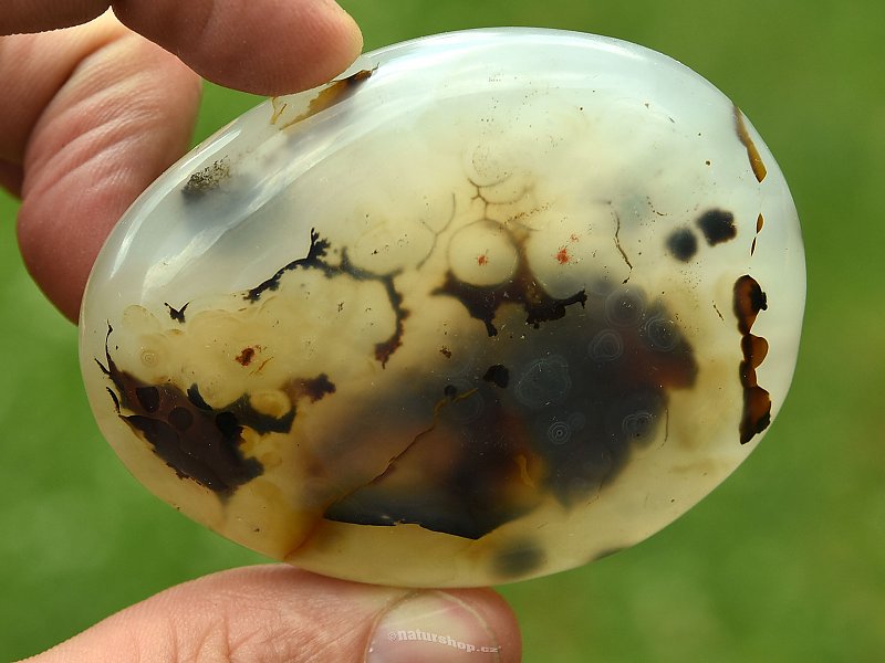 Agate with dendrites 113g