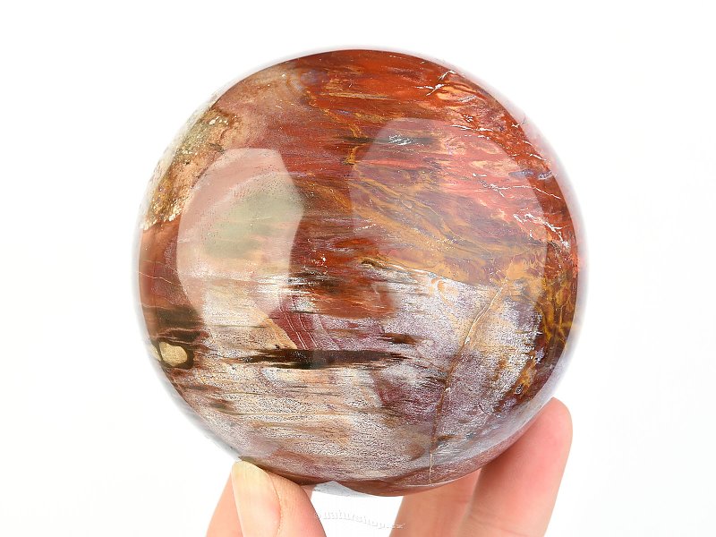 Ball fossilized wood 83mm