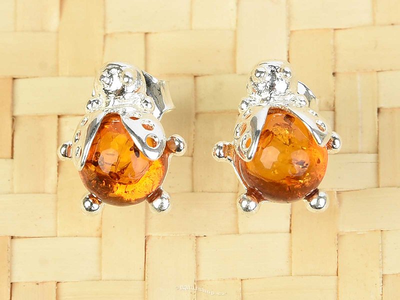 Amber honey earrings ladybird 6mm Ag stud