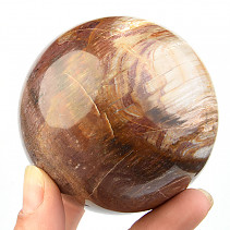 Petrified wood ball Ø 71mm