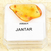 Amber from Lithuania, Balt (1,2g)