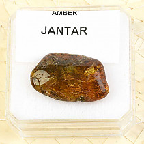 Amber from Lithuania (Balt) 1,4g