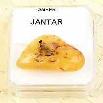Amber from Lithuania (Balt) 2.5g