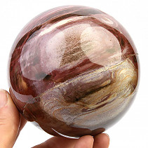 Fossilized wood balls jumbo Ø 97mm