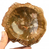Miska ze zkamenělého dřeva (959g)
