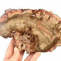Zkamenělé dřevo plátek (580g)