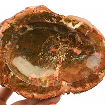 Zkamenělé dřevo miska (Madagaskar) 1525g