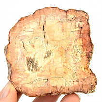 Zkamenělé dřevo plátek (145g)