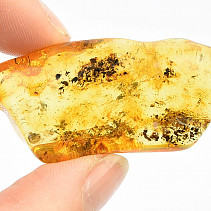 Selected amber from Lithuania (8.6g)