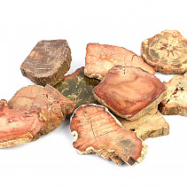Zkamenělé dřevo leštěné menší (Madagaskar)