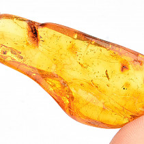 Amber extra selection (Lithuania) 6.8g