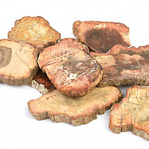 Zkamenělé dřevo leštěné střední (Madagaskar)