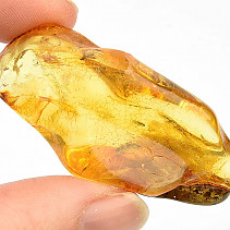 Amber selection from Lithuania (9.2g)