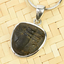 Trilobite pendant silver Ag 925/1000 3,6g