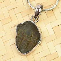 Trilobite pendant silver Ag 925/1000 2,8g