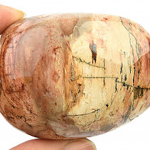 Zkamenělé dřevo hladký kámen 177g