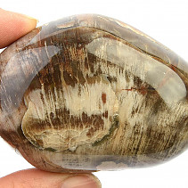 Zkamenělé dřevo hladký kámen 192g