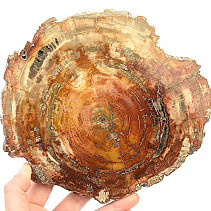 Zkamenělé dřevo plátek (932g)