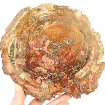 Zkamenělé dřevo plátek (987g)