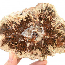 Zkamenělé dřevo plátek (282g)