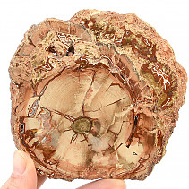 Zkamenělé dřevo plátek (288g)