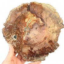 Zkamenělé dřevo plátek (1254g)