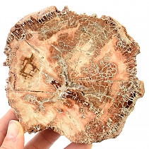 Zkamenělé dřevo plátek (437g)