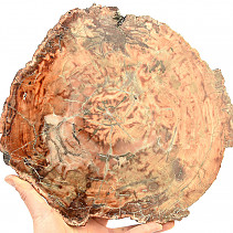 Zkamenělé dřevo plátek (3099g)