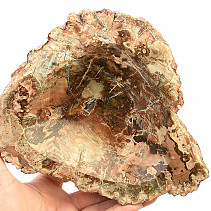 Petrified wood bowl (1557g)