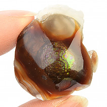 Agate of Mexico (9g)