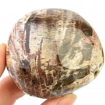Zkamenělé dřevo z Madagaskaru 136g