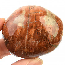 Zkamenělé dřevo z Madagaskaru 112g