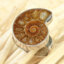 Ammonite ring size 55 Ag 925/1000 8.6g