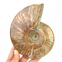 Ammonite with opal luster 766g in total