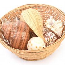 Mussel mix gift packaging in a basket