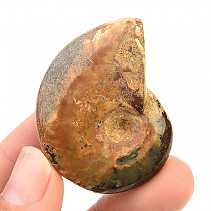 Fosilní amonit vcelku s opálovým leskem (21g)