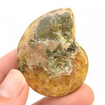 Ammonite whole with opal luster (22g)