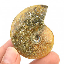 Ammonite whole with opal luster (26g)
