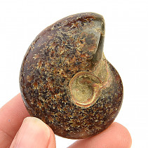 Ammonite with opal luster (40g)