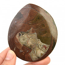 Zkamenělý amonit v hornině (Erfoud, Maroko) 95g