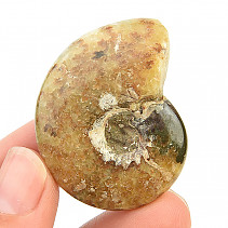 Ammonite with opal luster (24g)